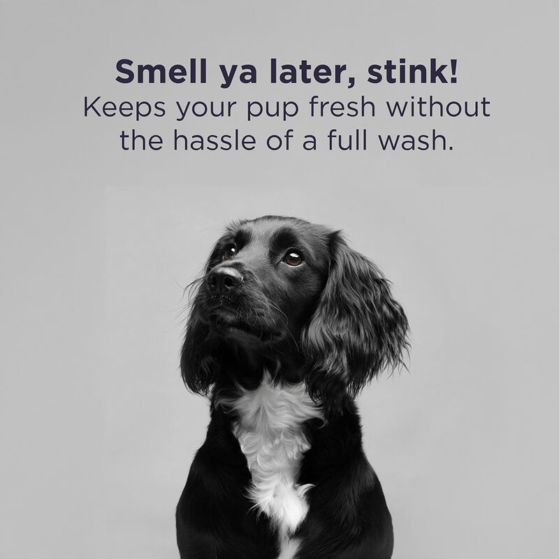 CHI For Dogs Deodorizing Spray, , large image number null